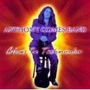 Anthony Gomes : Blues In Technicolor